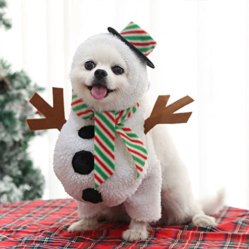 New Year Cozy Winter Pet Outfit π - The Superstacks