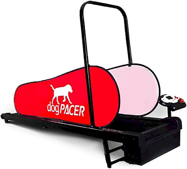 Get Your Pup Moving with the Dog Pacer 3.1 Treadmill! 🐾🔥