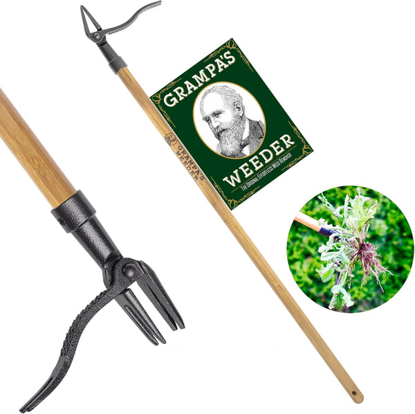 Weeding Made Easy – No Bending Required!