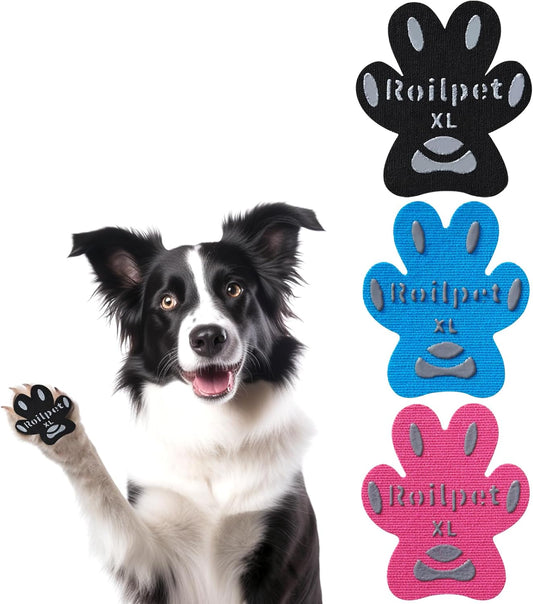 Keep Your Senior Pup Steady & Safe – Don’t Wait! 🐾