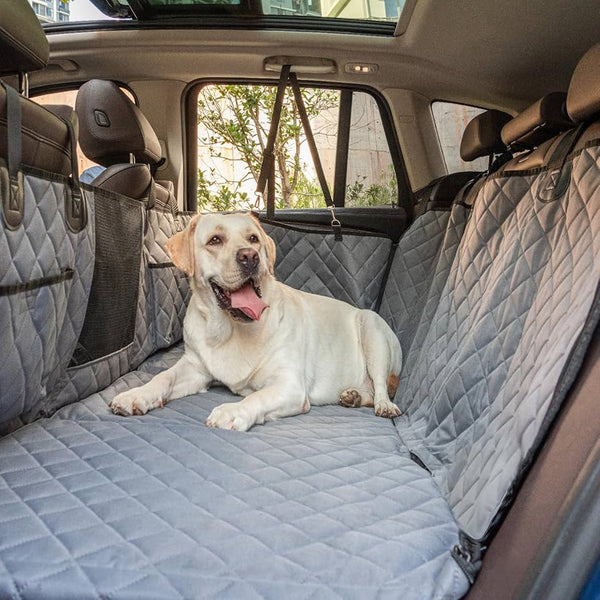 Lekereise Dog Car Seat Cover 🐾🚙💺
