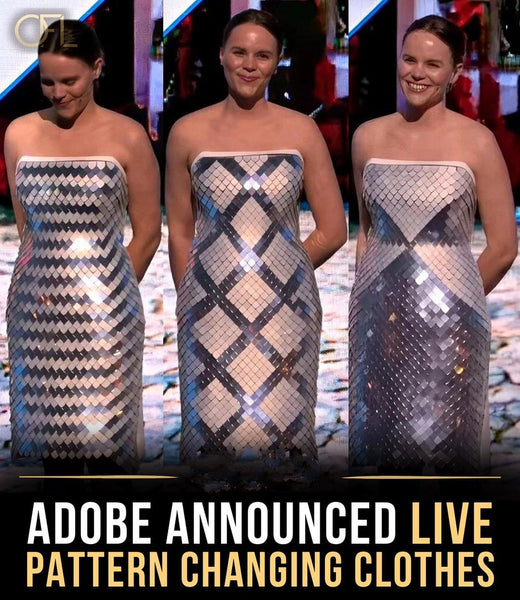 Adobe's Interactive Fas