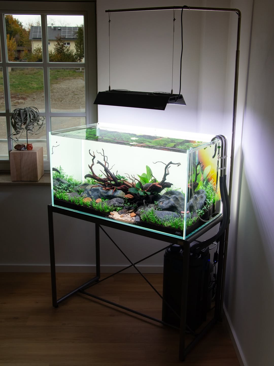 Fluval Plant 3.0 LED Planted Aquarium Light Review (2026): Is It Worth It? 💡🐟🍃