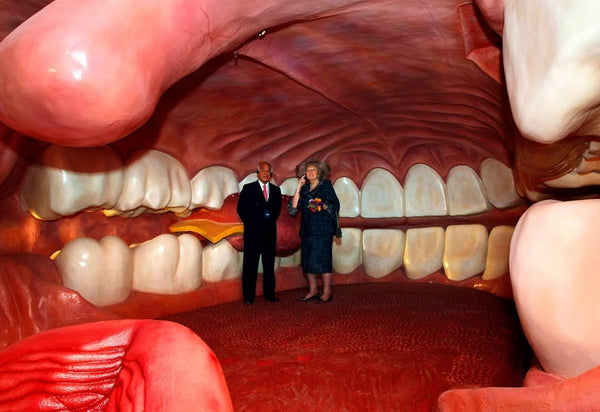 Discover the Wonders of the Human Body at Corpus Museum, Netherlands
