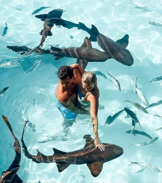 Thinadhoo, Maldives — Where the Sharks Say Hi 🦈🏝️⭐