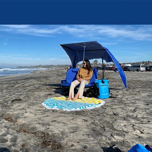 The Lounge Wagon - Convertible Wagon & Chair