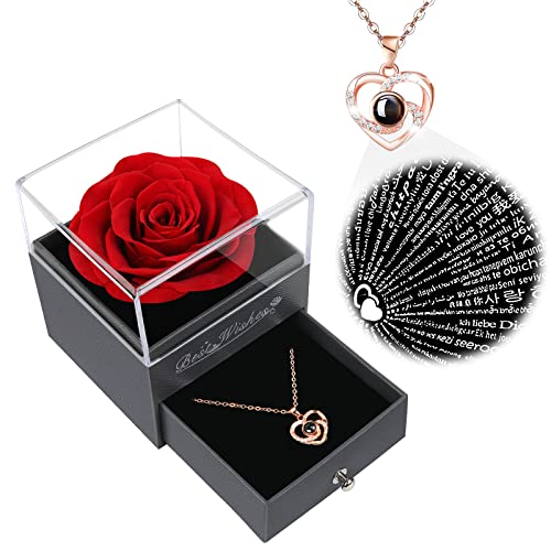 Preserved Red Rose & 100 Language Necklace Gift Set for Her