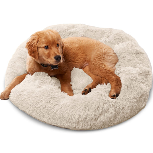 Portable Dog Beds: Premium, Beige, Small Size